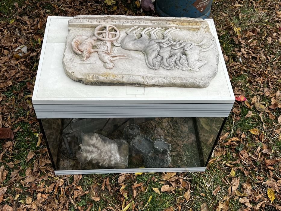 Acvariu pesti/broaste testoase