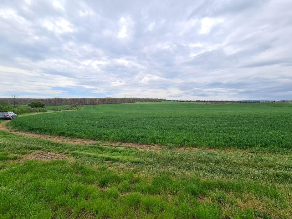 Продава се Земеделски имот в с. Ябълчево, Област Бургас -  кв.м за 2285 €/дка - Снимка #4