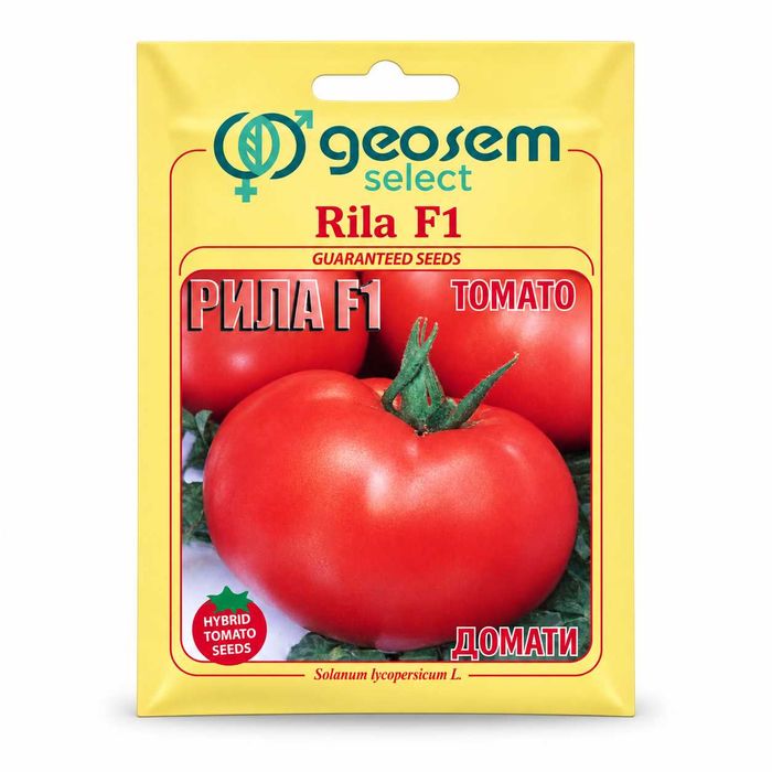 Seminte tomate Rila F1 250 sem