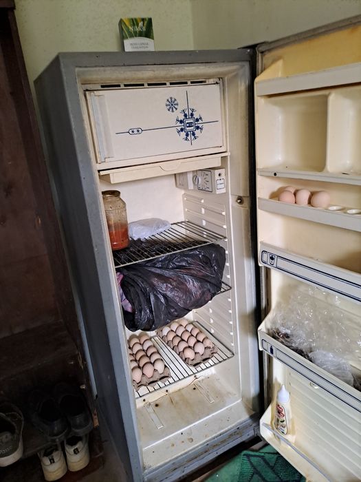 Халаделник сотилади