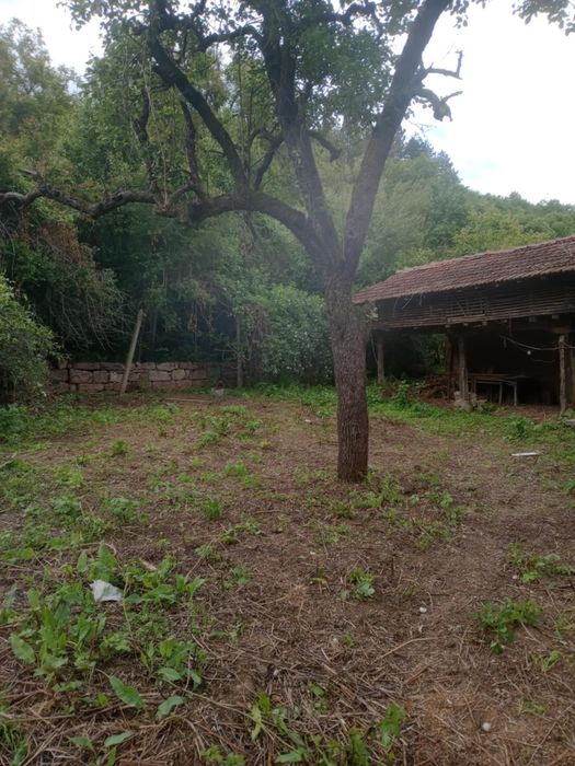 Продава се Къща в с. Железна, Област Монтана - 264 кв.м за 133 €/кв.м - Снимка #3