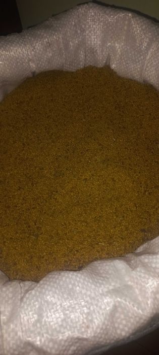 Vând sămânță de lucernă – soi înalt, producție 2025