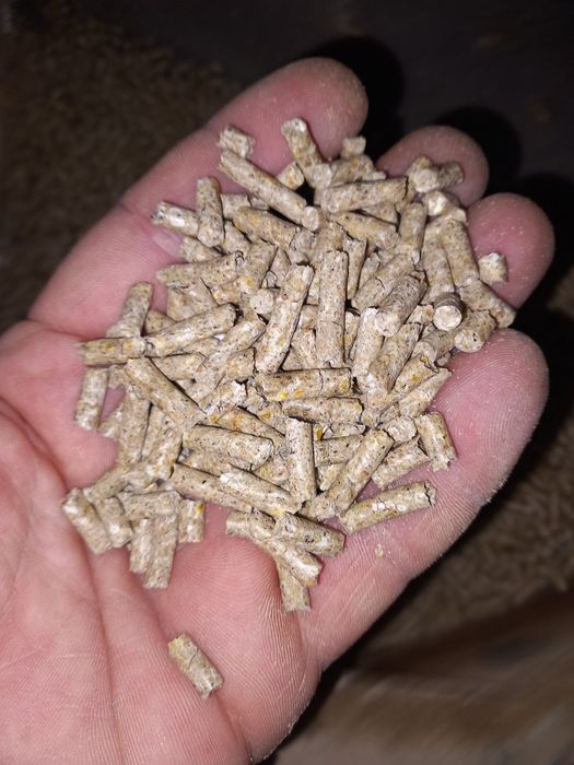 Furaj complet pentru vaci, viței, miei,oi, și capre