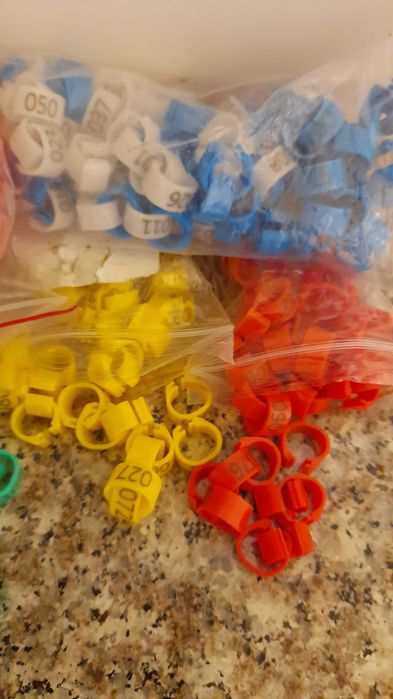 Vand ineleporumbei Romania