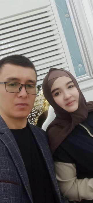 Шотландский вислоуха