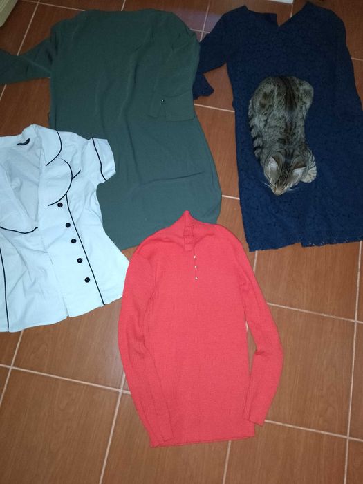 Lot haine fata măsură S