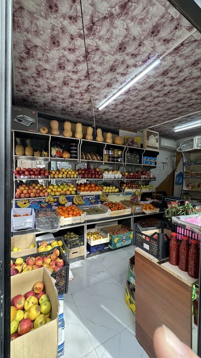 Овощии в аренду 777777