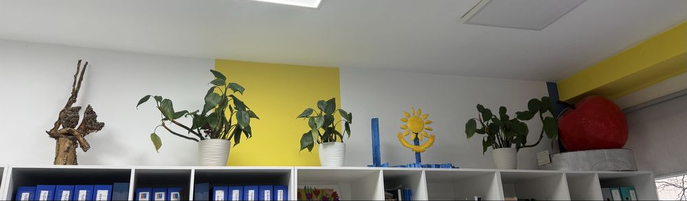 Все комнатные цветы в одни руки