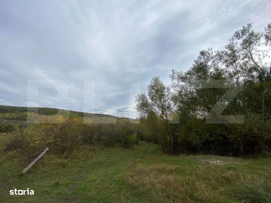 Teren 77 ari | Zona Valea Rusului | Posibilitate parcelare in 2 loturi