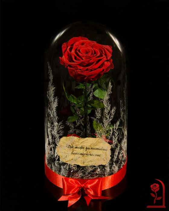 Истинска Вечна Роза в ГОЛЯМА Стъкленица / Подарък за Коледа за Жена
