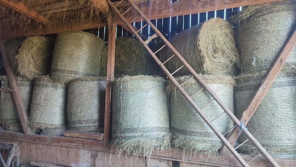 Baloti rotunzi fan si otava