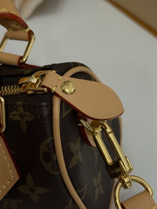 Geanta Louis Vuitton Nano Speedy