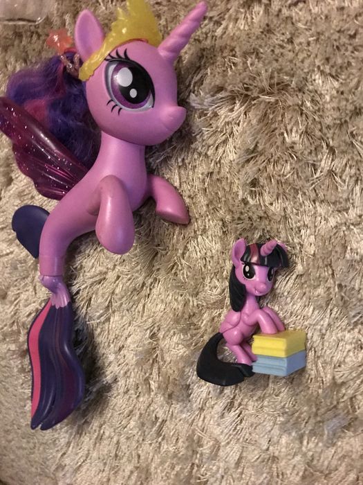 Пони большая и маленькая