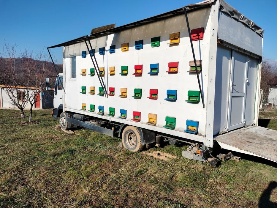 Vand familii de albine