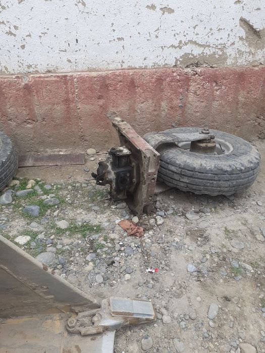 Kolonka gedrovlika sotiladi