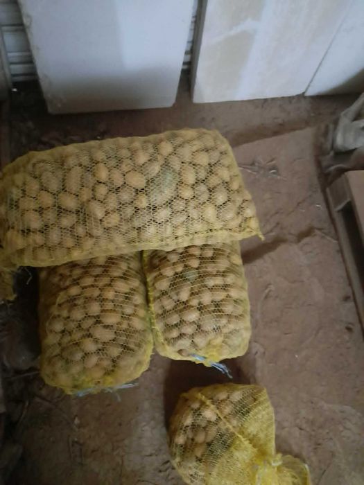 Картофи за животни