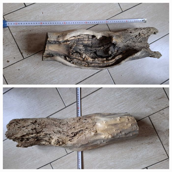 коряги разные для поделок или декора