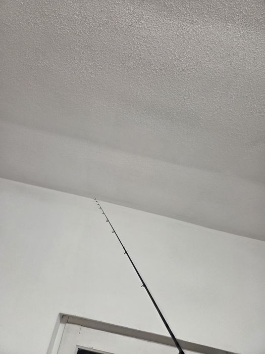 Lanseta Daiwa feeder + molineta daiwa