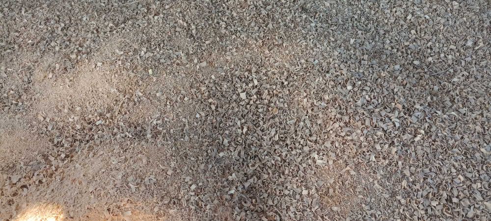 Опилки, стружка, дрова карагачевые