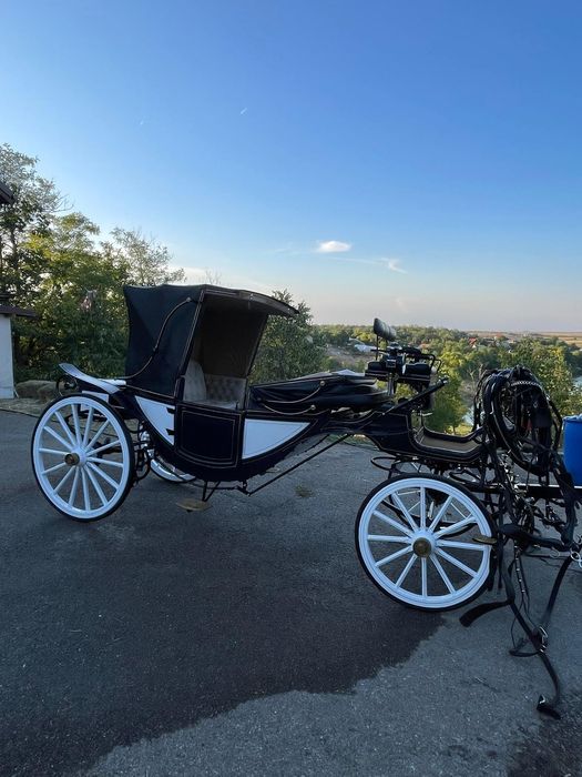 Vând trasura evenimente