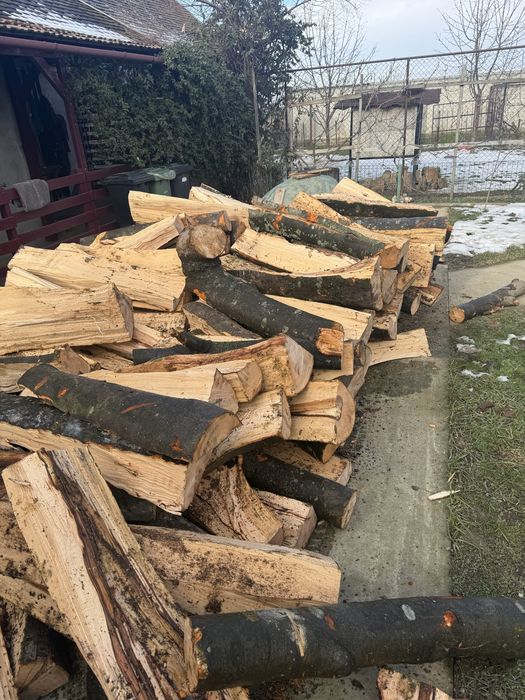 ‼️SC‼️Depozit autorizat comercializăm lemne de foc [Fag,Stejar,Carpen]