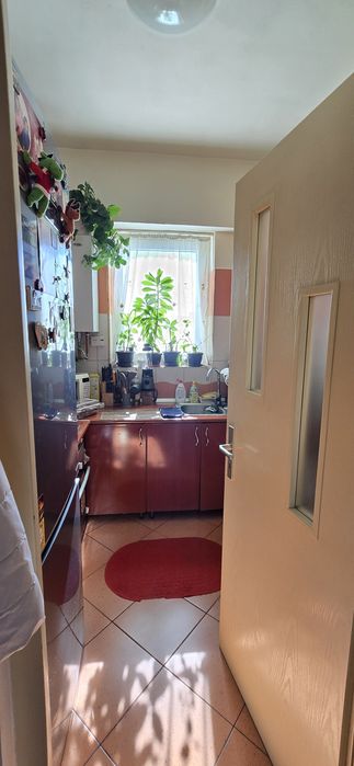 Apartament cu o cameră + boxă beci + garaj