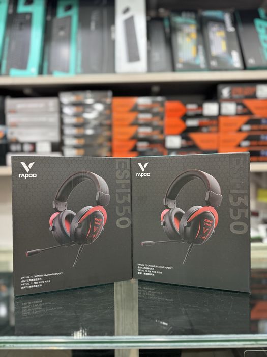 Rapoo Headset vh160 vh500 esh350 vh850