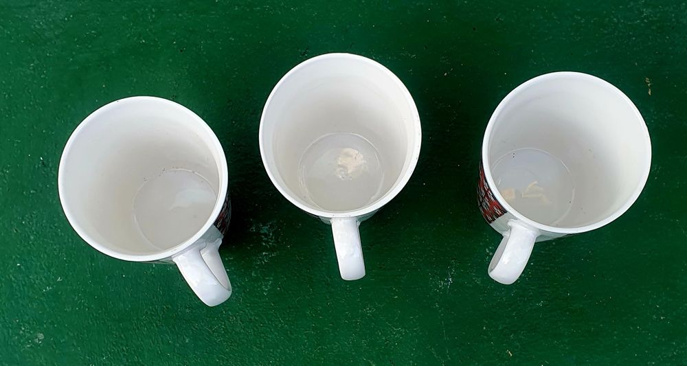 Set cani ceramica si portelan