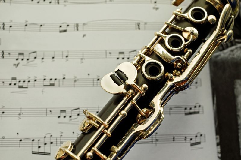 Lectii de clarinet bucuresti