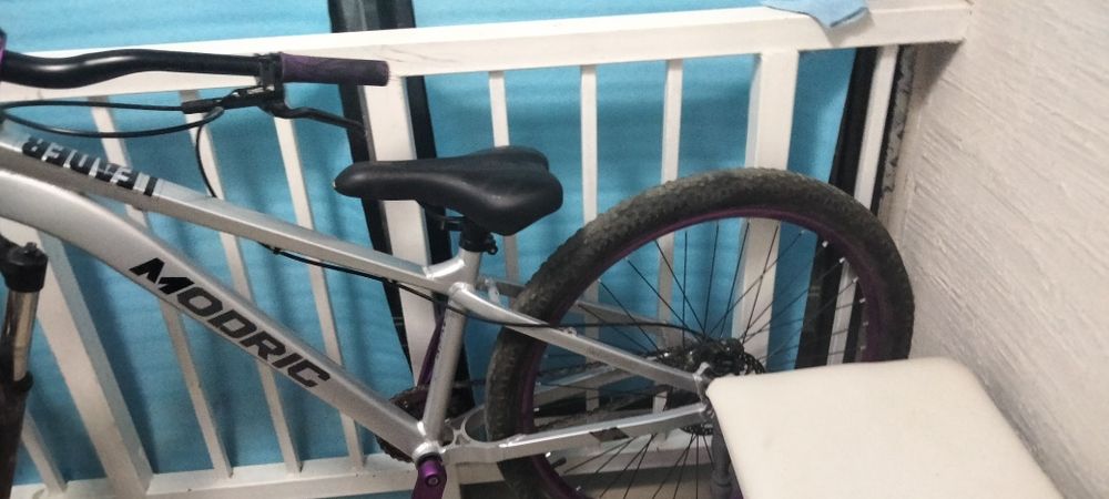 Cruzer modrich mtb