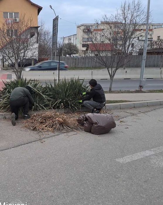 Amenajare și Întreținere Spații Verzi – Servicii Profesionale