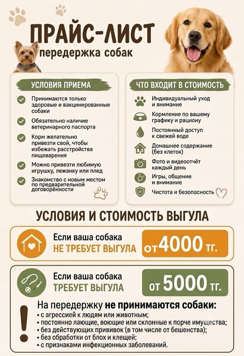 Передержка домашних собак