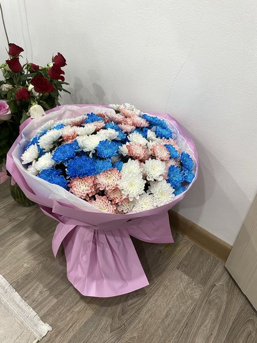 цветы новые, свежие