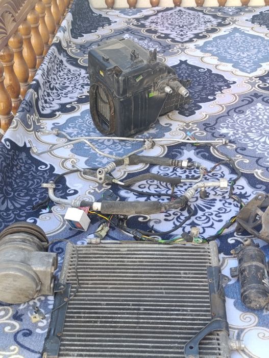 Тико кансанер сотилади