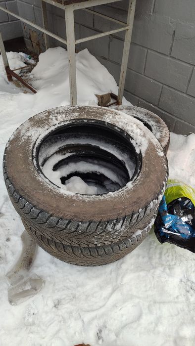 Шины зимние Kama Alga R16