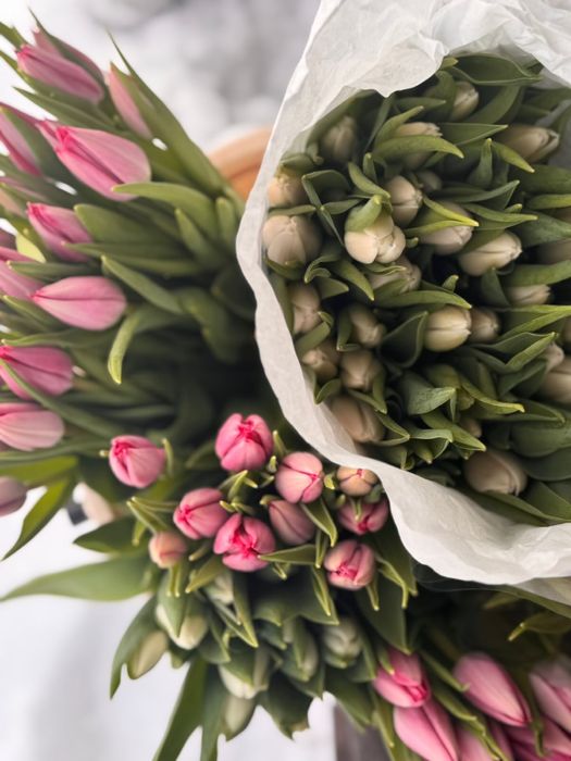 Тюльпаны к 8 марта