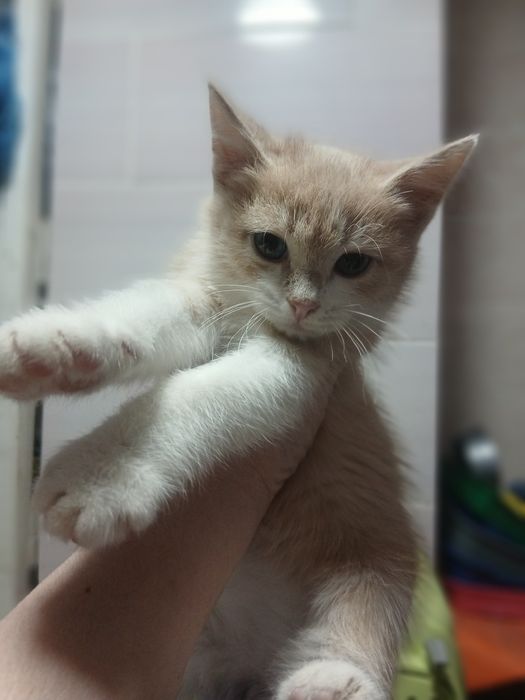 Мальчик замечательный