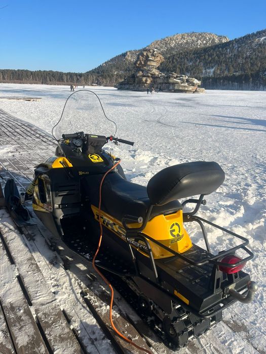 Электро Снегоходы бананы