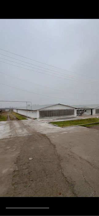 Arenda Sklat Аренда Склат