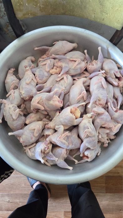 Перепелиное мясо