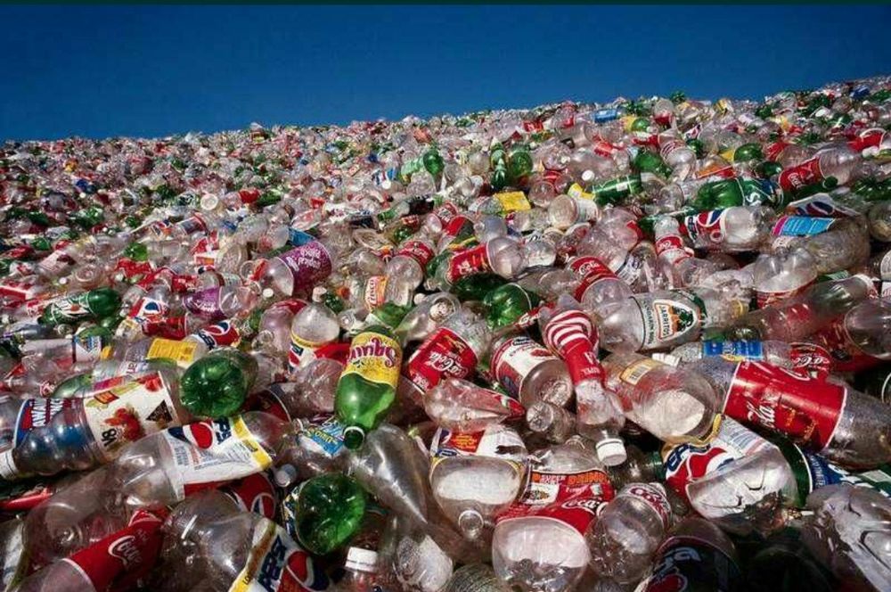 Принимаем ПЭТ бутылок