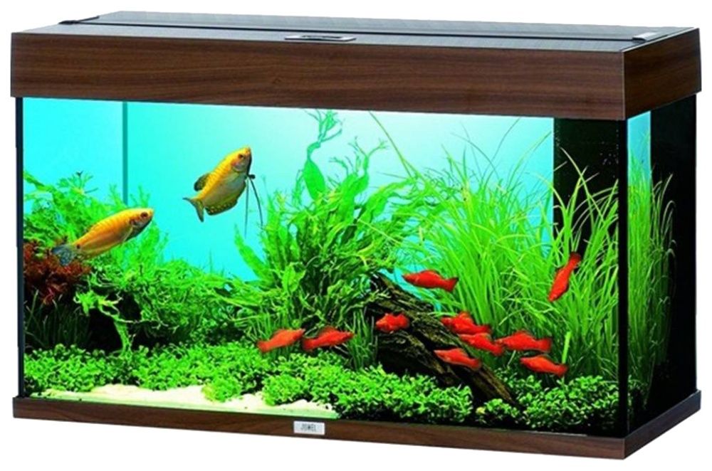 Аквариум с крышкой 30л в зоомагазине Абая 149