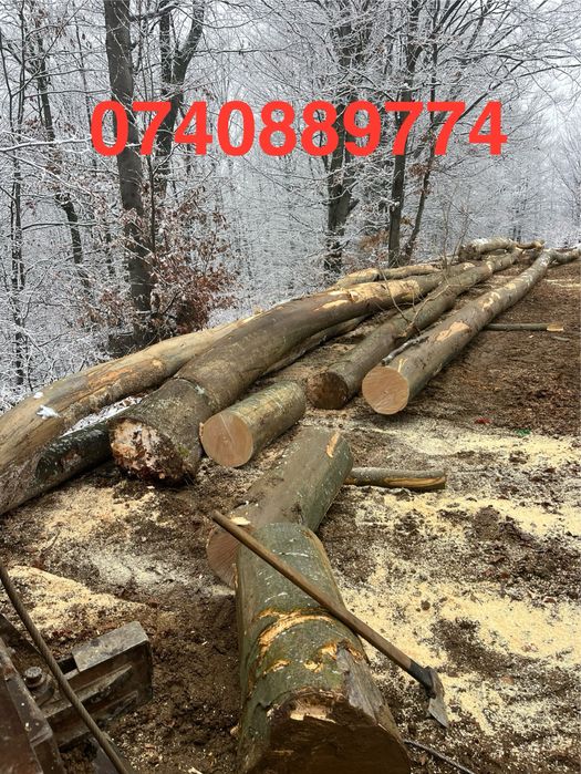 Lemne de foc de vânzare