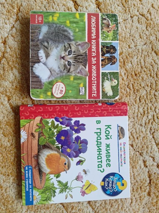 Детски книжки Франклин, Пес Патрул, детски приказки и други