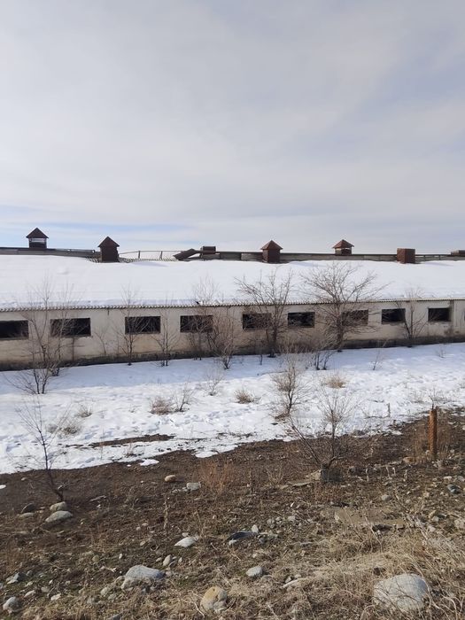 Продам базу рядом с Хоргосом