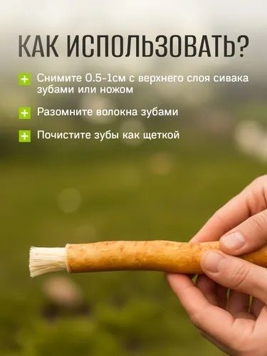 Мисвак продается