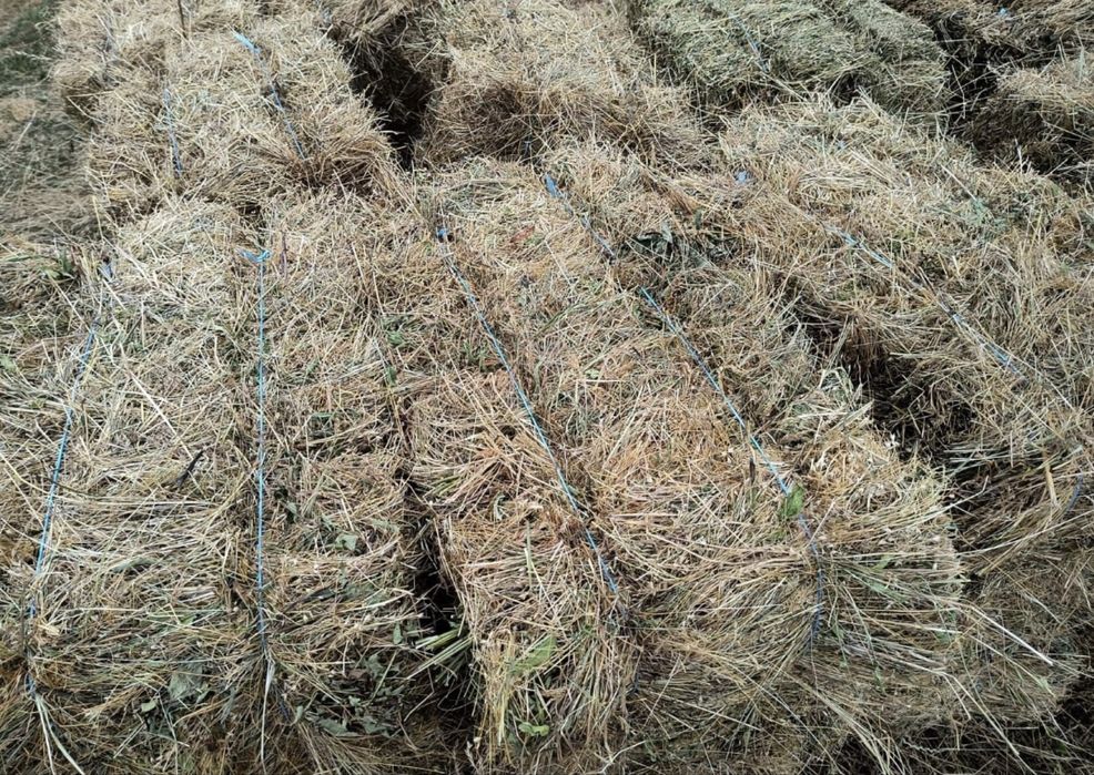 vand baloti de fan paie si otava