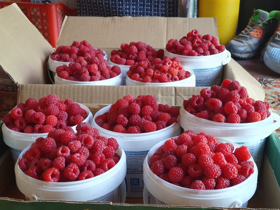 Малина без ГМО свеже-мороженная