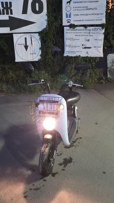 Suzuki choi nori 49