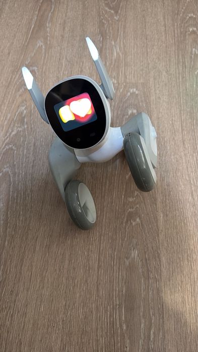 Robot loona pet
